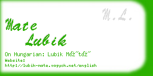 mate lubik business card